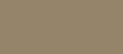 Metallic Champagne