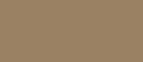 Metallic Champagne