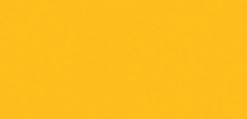 Yellow Rose