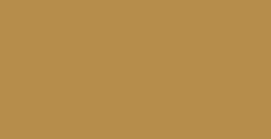 Gold Nugget