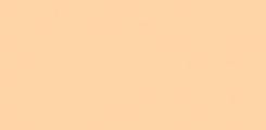 Warm Beige