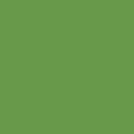 Satin Apple Green
