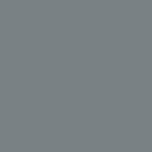 Satin Battleship Gray