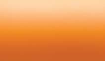 Matte Orange