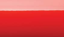 Gloss Red