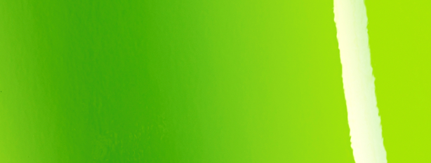 Gloss Tropical Vacation Green