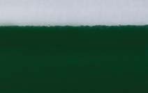 Gloss Dark Green