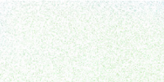 Rainbow White