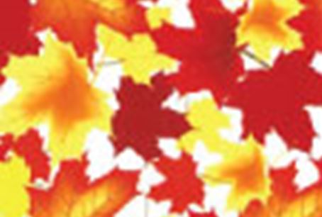 Autumn Leaves