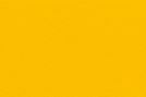 Sunflower Yellow