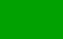 Parakeet Green