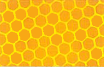 Fluorescent Yellow