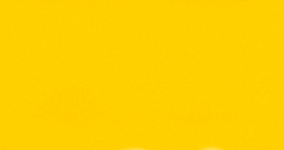 Sunflower Yellow