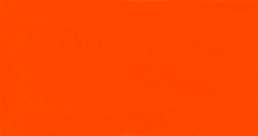 Pumpkin Orange