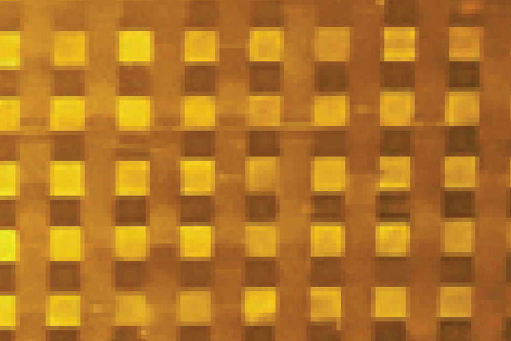 Yellow-Amber