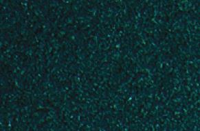 Hunter Green Metallic