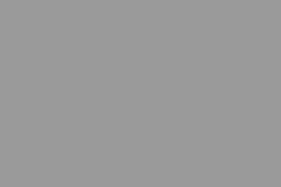Light Ash Gray