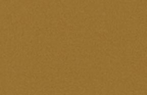 Buckskin
