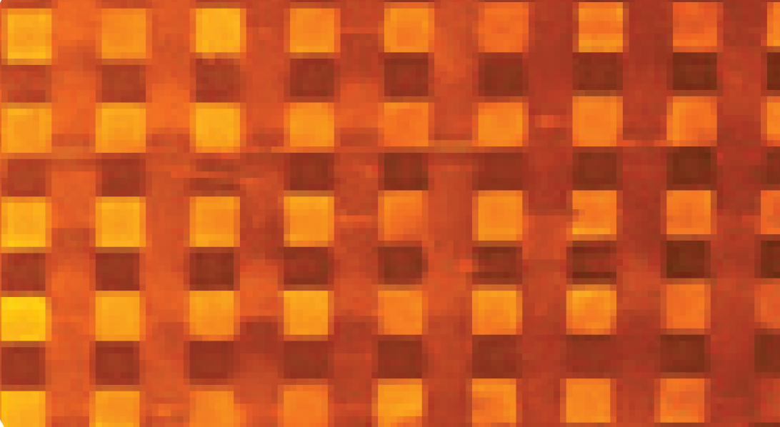 Yellow-Amber