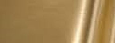 Metallized Brushed Gold