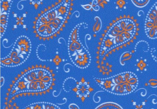 Bandana Blue Orange