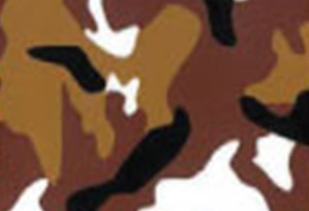 Camo Brown