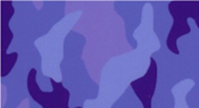 Camo Purple