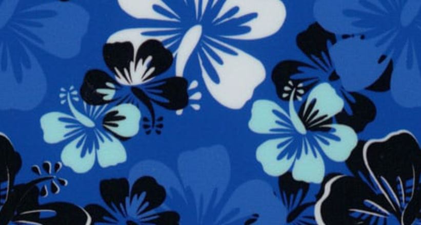 Hawaiian Blue