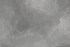 Chrome Hammered Leaf
