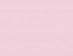 Pink Piglet