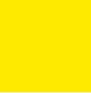 Summer Yellow