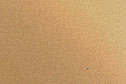 Metallic Golden