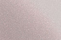 Metallic Champagne
