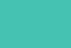 Gloss Mint