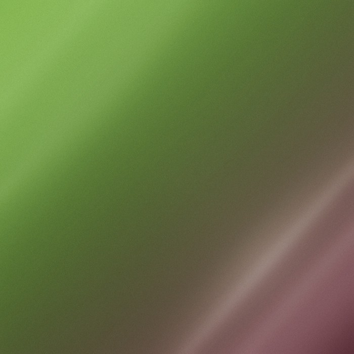 Avacado