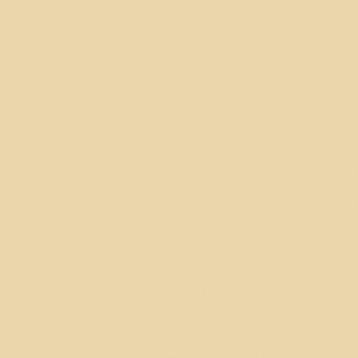 Taxi Beige