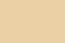 Matte Champagne Myst