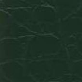 Crocodile Fir Tree Green