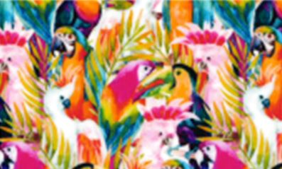 Parrots
