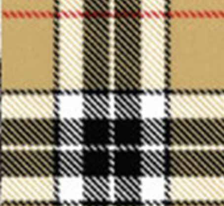 Designer Plaid