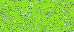 Metal Flake Apple Green