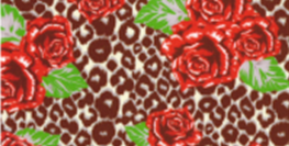 Roses Cheetah