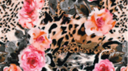 Roses Leopard