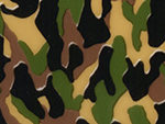 Earthtone Camo
