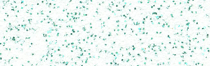 White Emerald