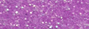 Neon Opaque Purple