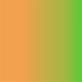 Neon Orange