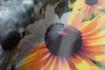 Specialty Materials™ PoliPrintables Textile Transfer Film Ultimate Print Soft Gloss UPSG-4031