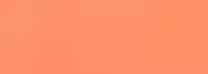 Neon Orange