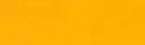 Neon Orange